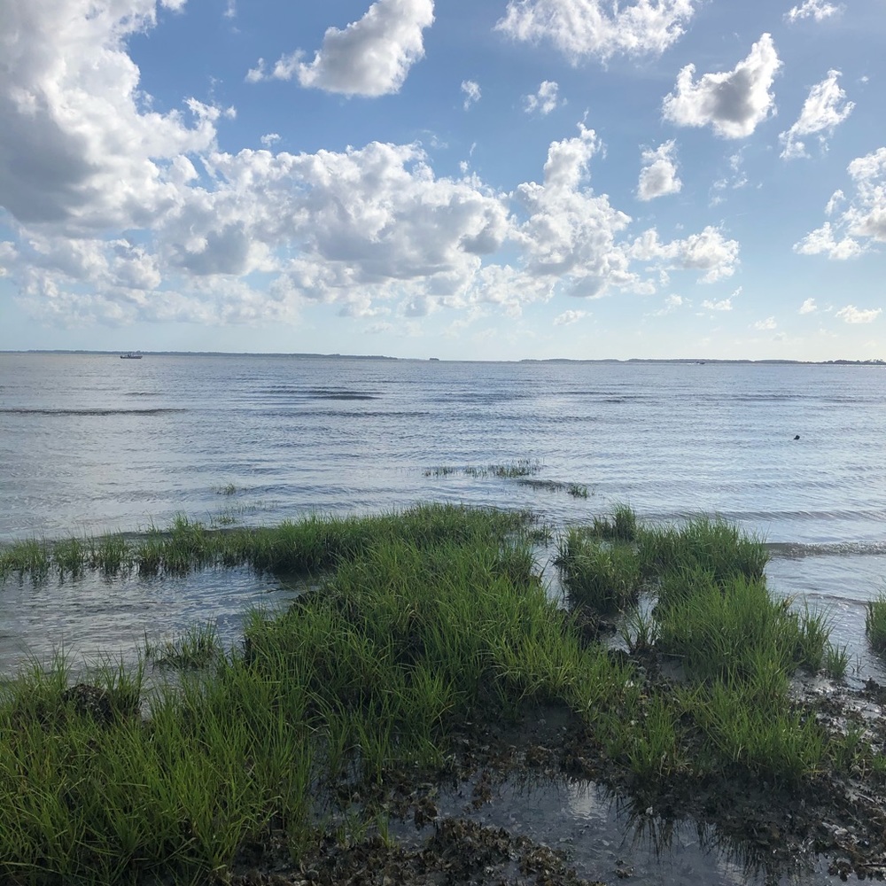 Meet your Posher, Ali